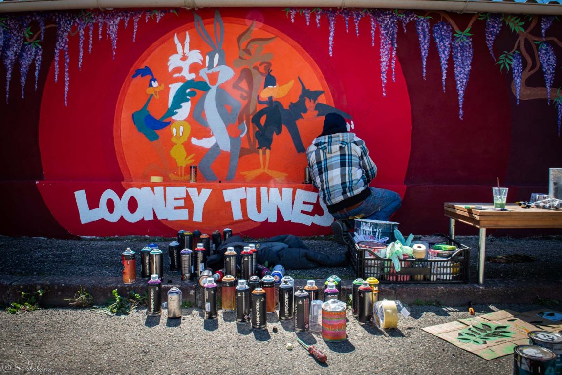 2024 04 16 - Projet toons - Retrocolorz & Sokebana - 043