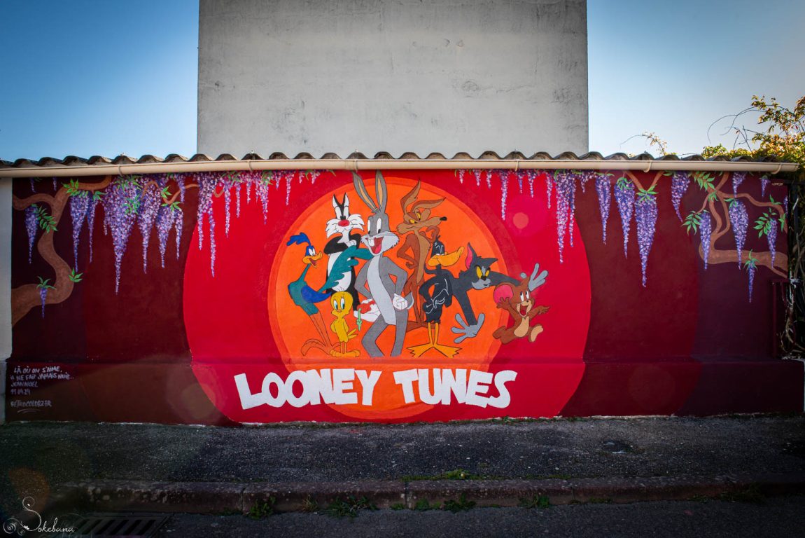 2024 04 16 - Projet toons - Retrocolorz & Sokebana - 052